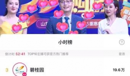 直播小时榜第91名,揭秘热门主播背后的故事