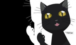 猫  动漫,猫界动漫之旅